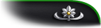 Lieutenant Colonel