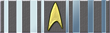 Commanding Officer Certification