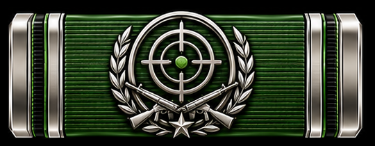 Marine Expert Marksman Certification