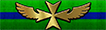Starfleet Pilot's Cross